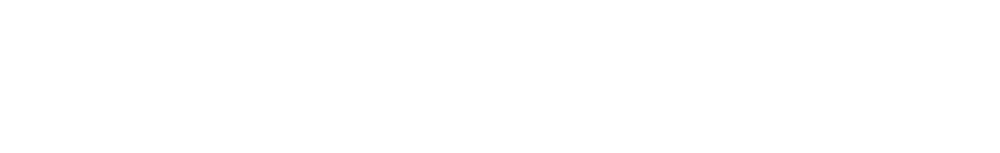 Vostra Group