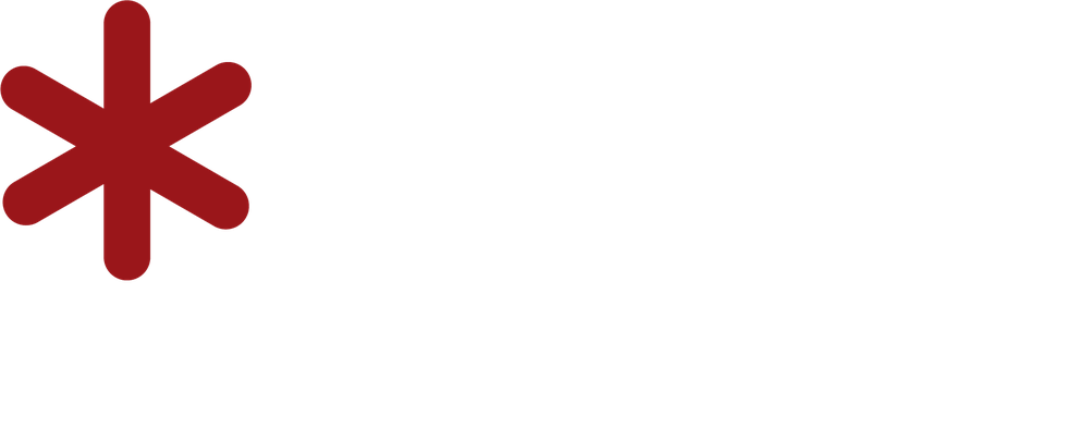 Vostra Pizza