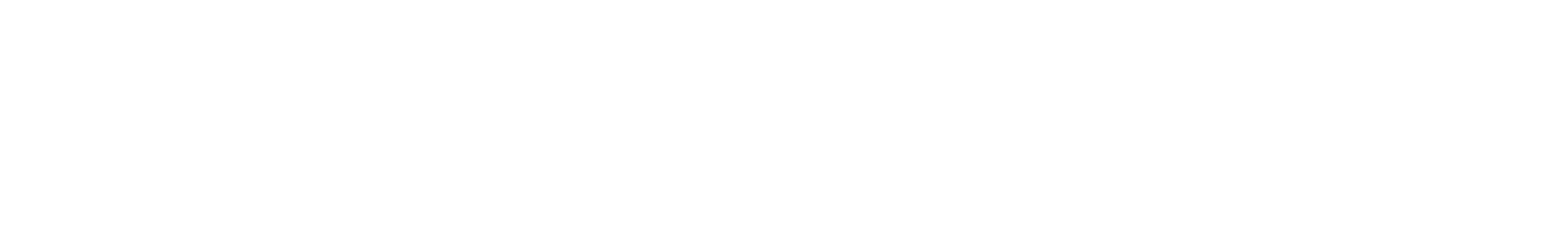 Vostra Group